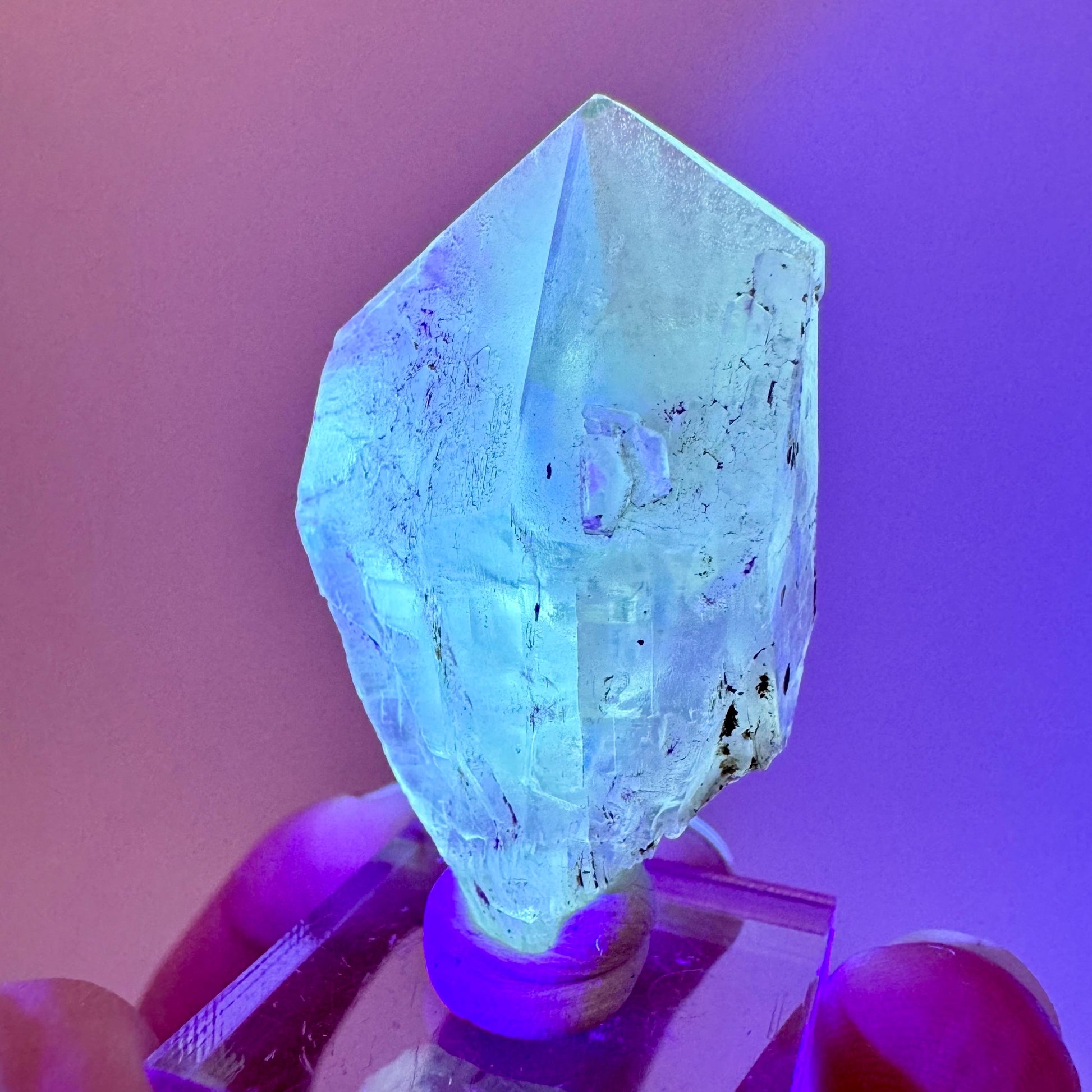 Fluorescent & Phosphorescent Golden Selenite (Canada) | selenite rosette, selenite crystal, UV reactive crystal, crystals