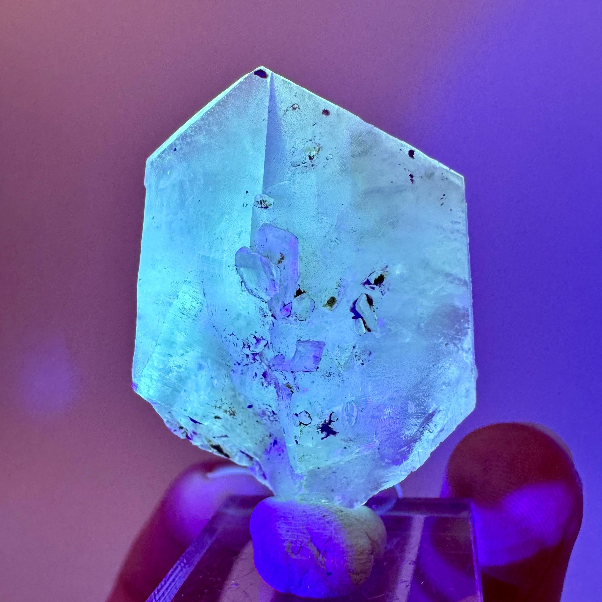 Fluorescent & Phosphorescent Golden Selenite (Canada) | selenite rosette, selenite crystal, UV reactive crystal, crystals
