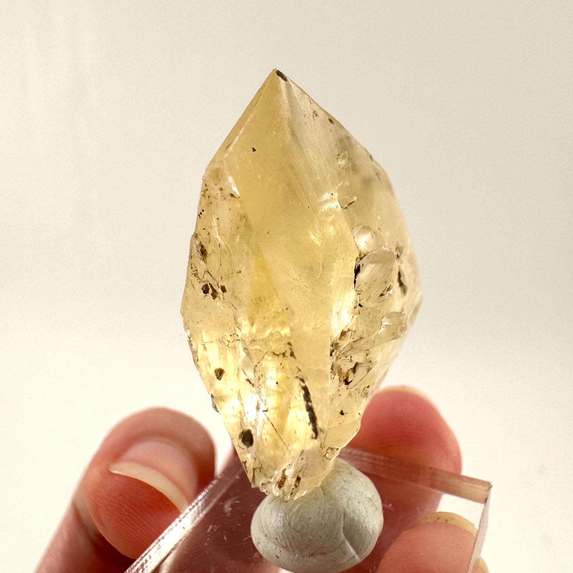 Fluorescent & Phosphorescent Golden Selenite (Canada) | selenite rosette, selenite crystal, UV reactive crystal, crystals