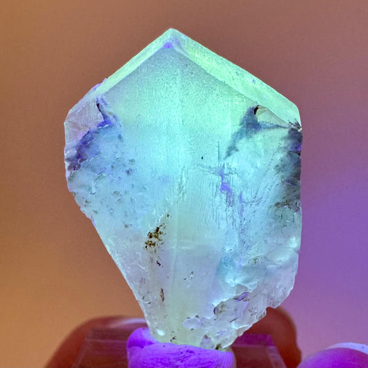 Fluorescent & Phosphorescent Golden Selenite (Canada) | selenite rosette, selenite crystal, UV reactive crystal, crystals