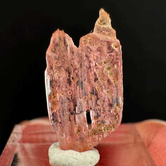 Rare! Vayrynenite (Pakistan) | vayrynenite crystal, rare crystals, mineral specimen, rare minerals, natural vayrynenite