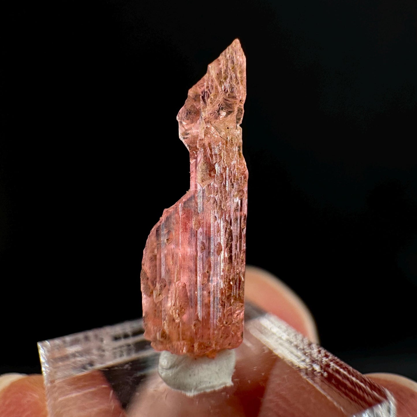 Rare! Vayrynenite (Pakistan) | vayrynenite crystal, rare crystals, mineral specimen, rare minerals, natural vayrynenite