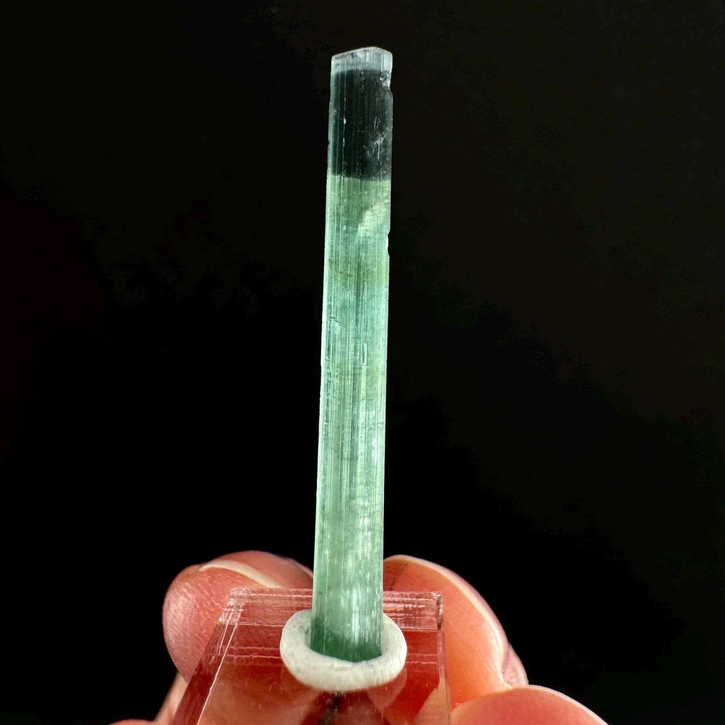 Indicolite Tourmaline (Pakistan) | blue tourmaline, natural tourmaline, green tourmaline, tourmaline crystal, bi color tourmaline