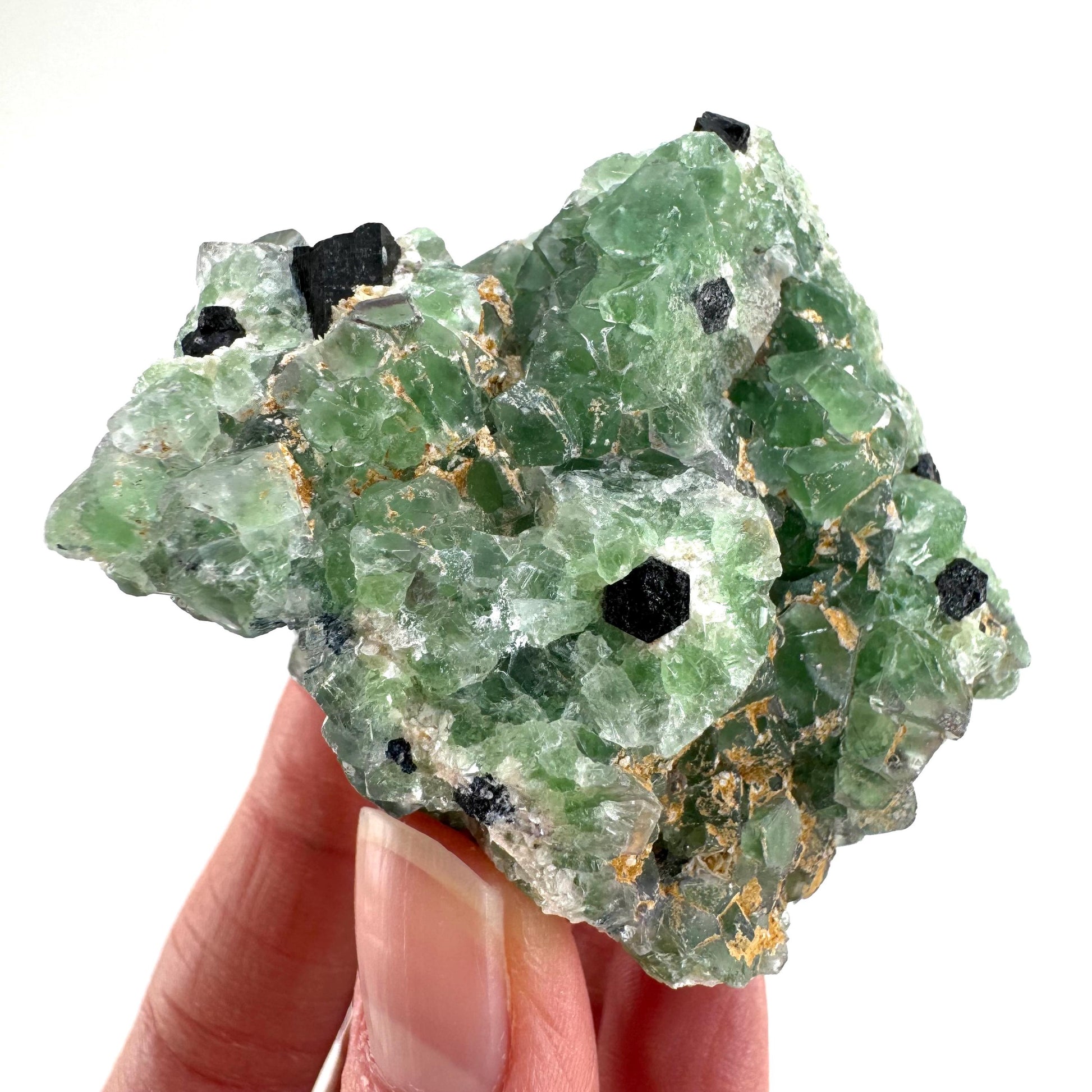 Fluorite w/ Schorl (Erongo, Namibia) | Lollipop Pocket, fluorite cluster, green fluorite, mineral specimen