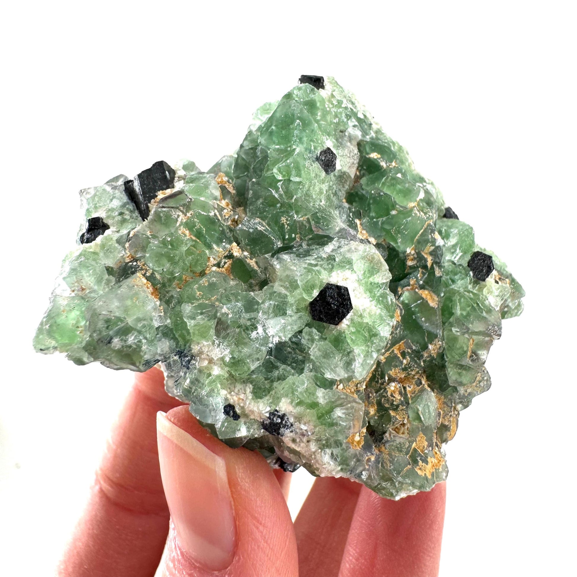 Fluorite w/ Schorl (Erongo, Namibia) | Lollipop Pocket, fluorite cluster, green fluorite, mineral specimen