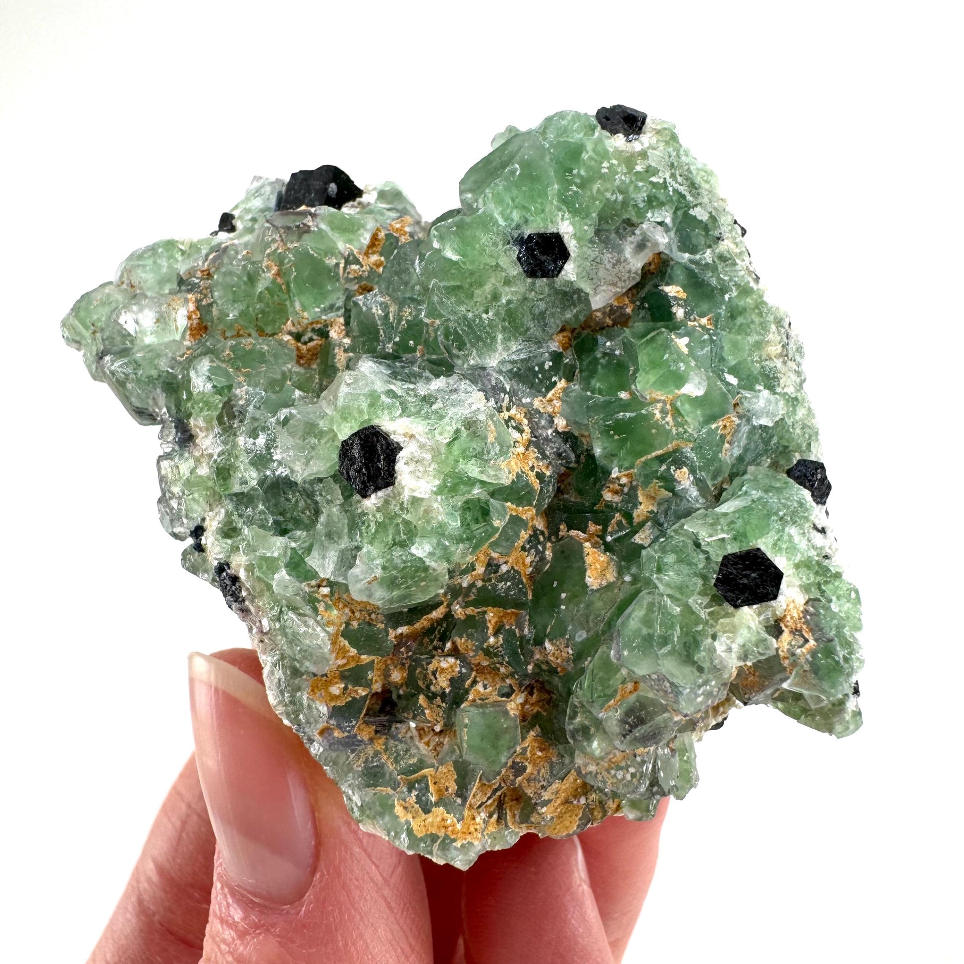 Fluorite w/ Schorl (Erongo, Namibia) | Lollipop Pocket, fluorite cluster, green fluorite, mineral specimen