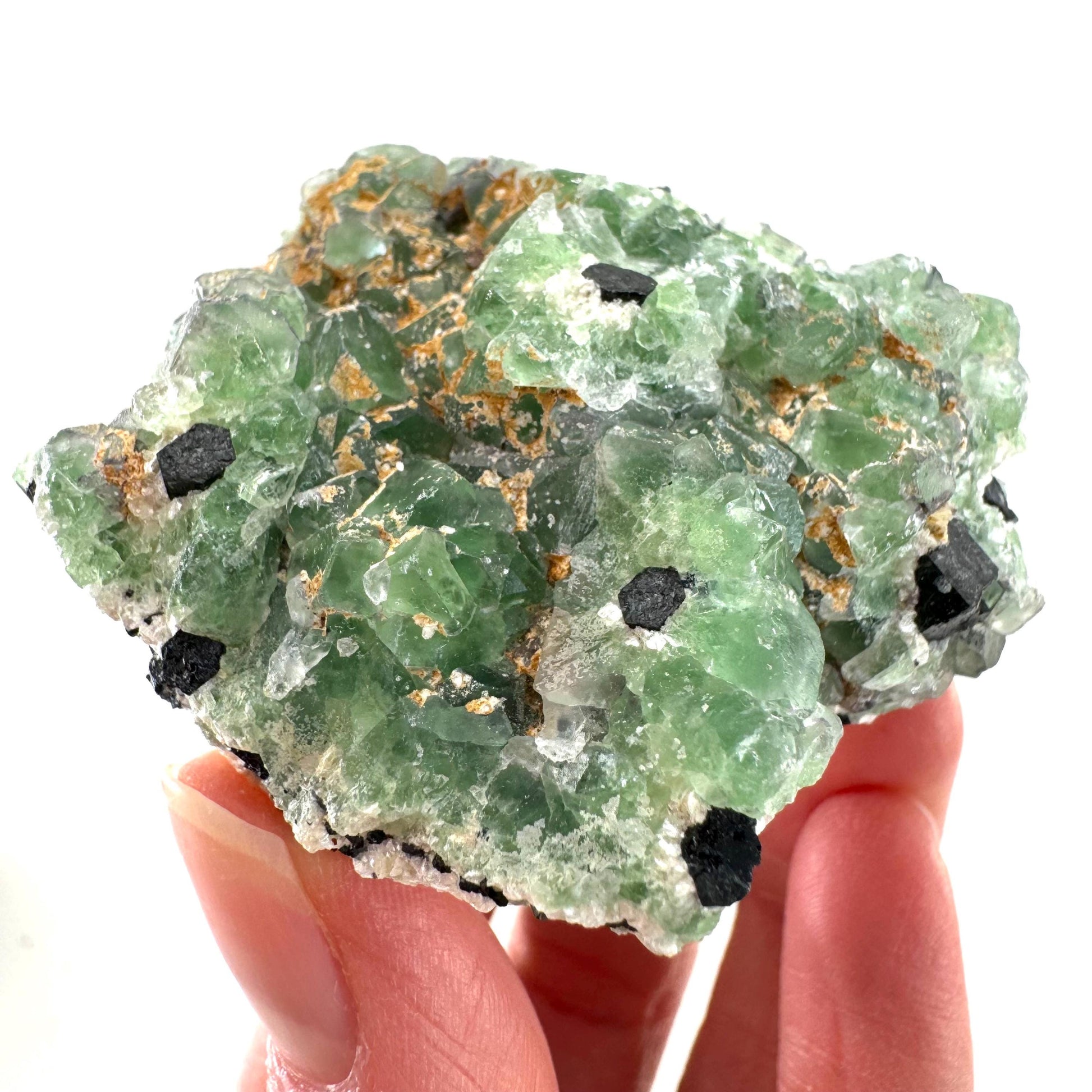 Fluorite w/ Schorl (Erongo, Namibia) | Lollipop Pocket, fluorite cluster, green fluorite, mineral specimen