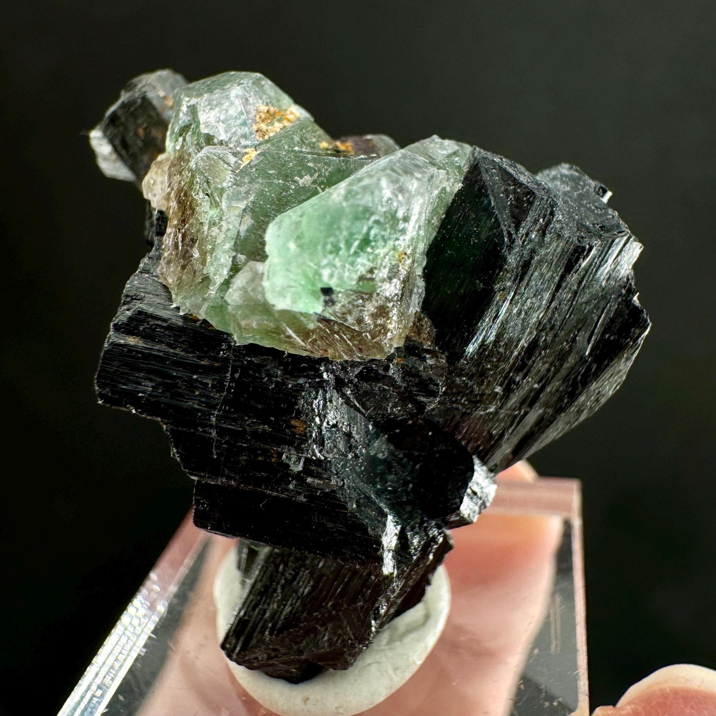 Fluorite w/ Schorl (Erongo, Namibia) | Lollipop Pocket, fluorite cluster, green fluorite, mineral specimen