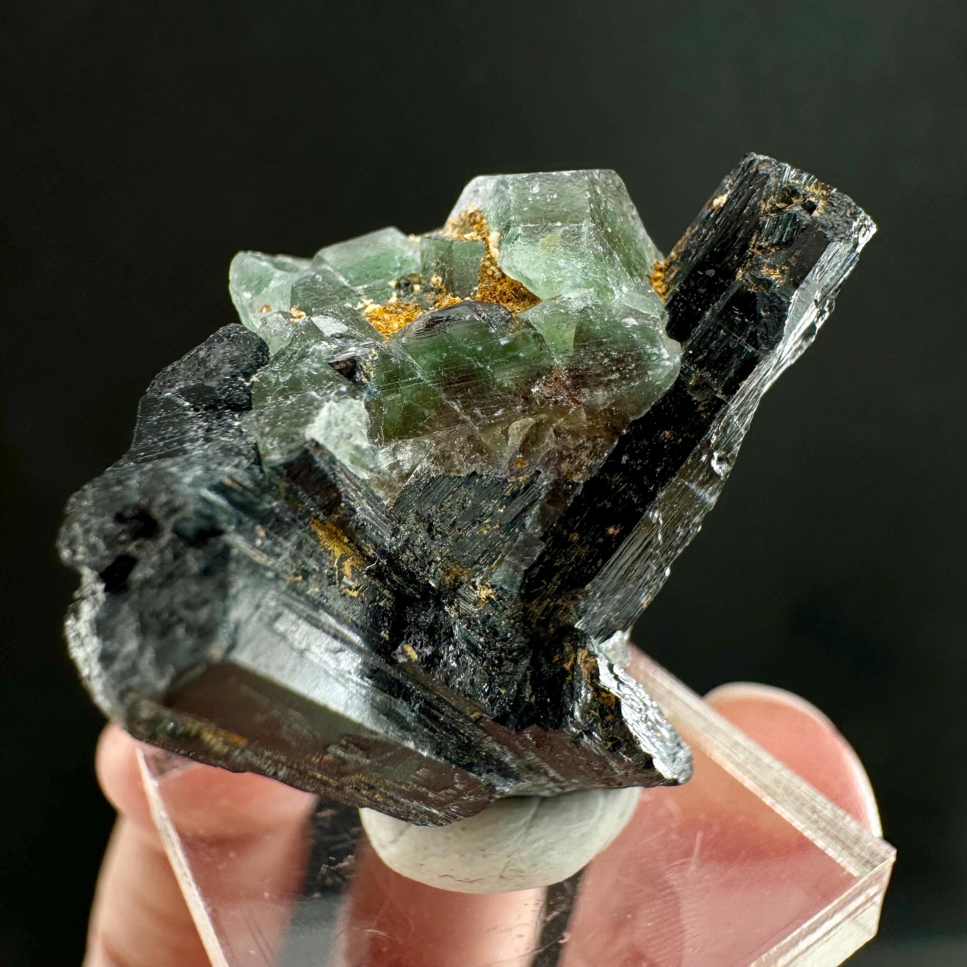 Fluorite w/ Schorl (Erongo, Namibia) | Lollipop Pocket, fluorite cluster, green fluorite, mineral specimen