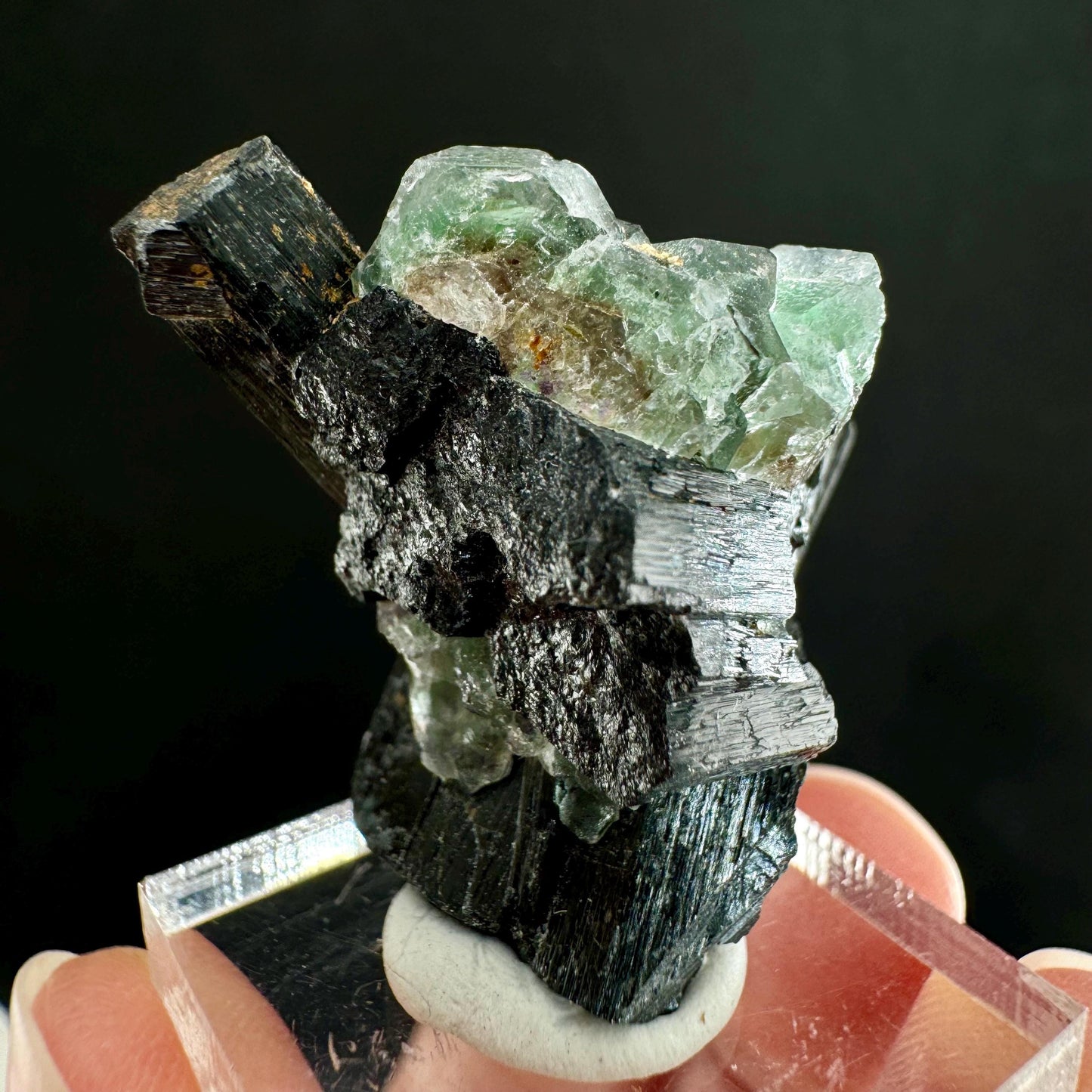 Fluorite w/ Schorl (Erongo, Namibia) | Lollipop Pocket, fluorite cluster, green fluorite, mineral specimen
