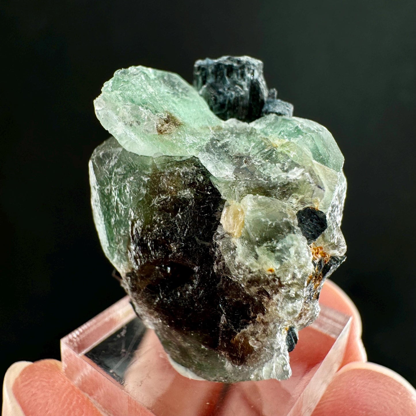 Fluorite w/ Schorl (Erongo, Namibia) | Lollipop Pocket, fluorite cluster, green fluorite, mineral specimen