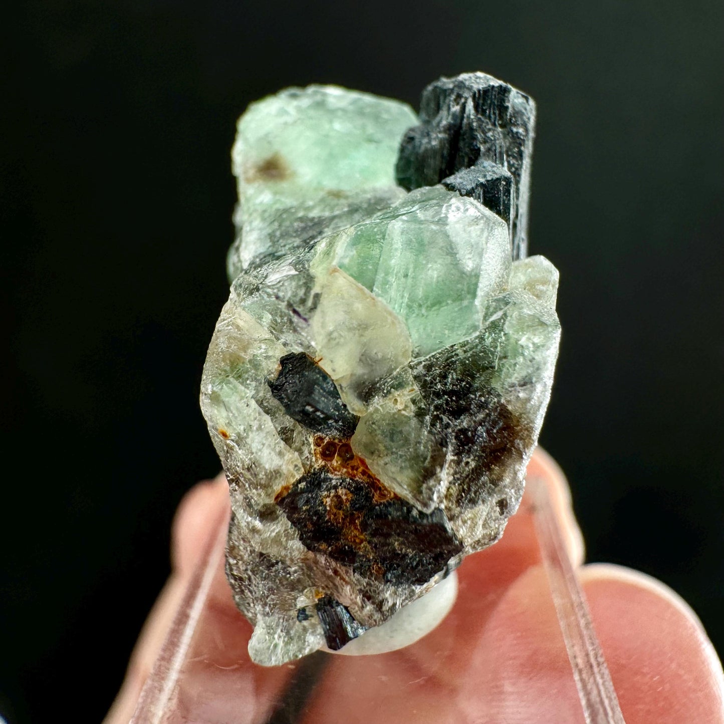 Fluorite w/ Schorl (Erongo, Namibia) | Lollipop Pocket, fluorite cluster, green fluorite, mineral specimen