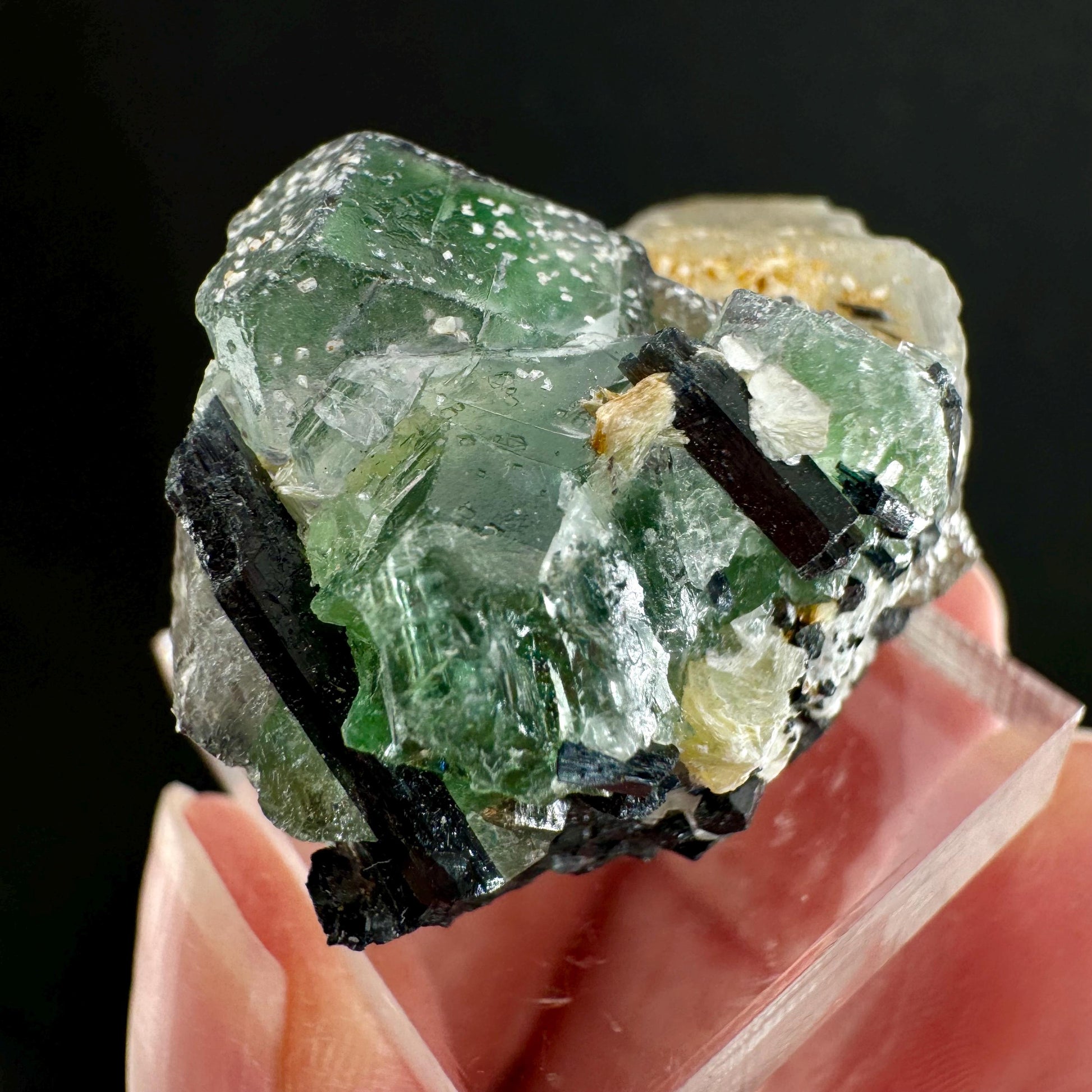 Fluorite w/ Schorl (Erongo, Namibia) | Lollipop Pocket, fluorite cluster, green fluorite, mineral specimen