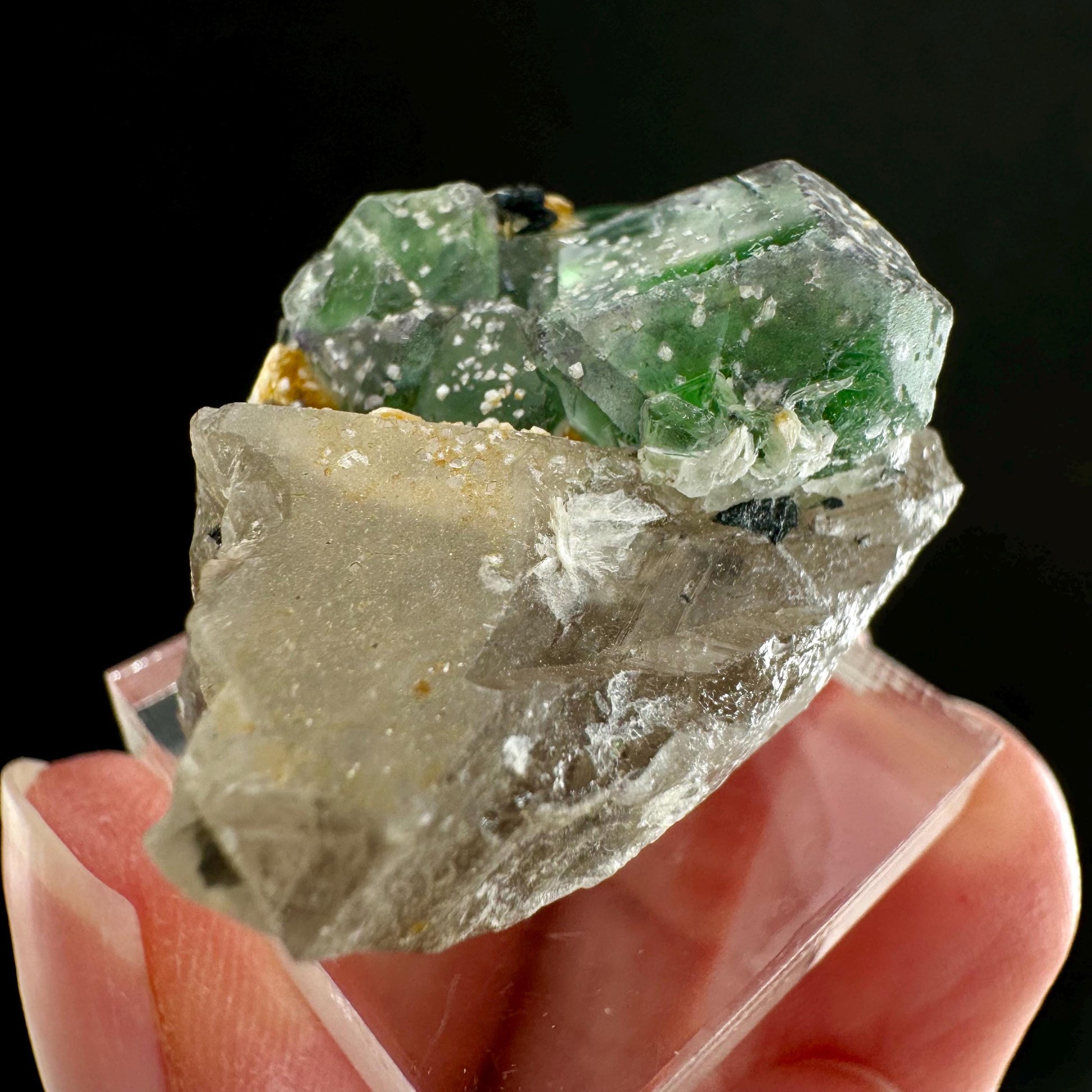 Fluorite w/ Schorl (Erongo, Namibia) | Lollipop Pocket, fluorite cluster, green fluorite, mineral specimen