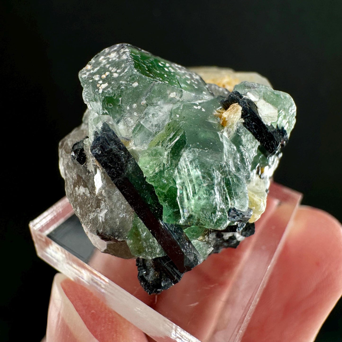 Fluorite w/ Schorl (Erongo, Namibia) | Lollipop Pocket, fluorite cluster, green fluorite, mineral specimen