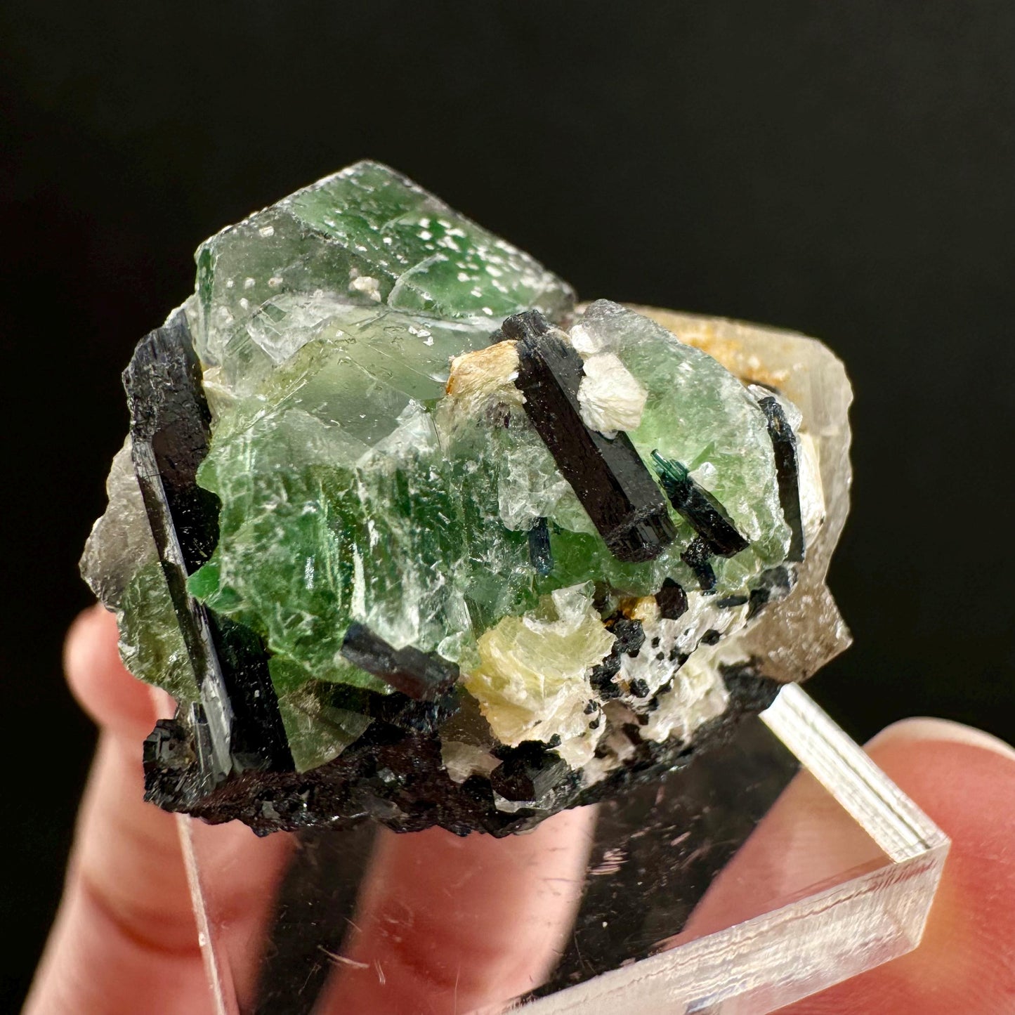 Fluorite w/ Schorl (Erongo, Namibia) | Lollipop Pocket, fluorite cluster, green fluorite, mineral specimen