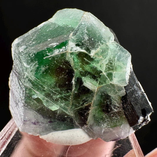 Fluorite w/ Schorl (Erongo, Namibia) | Lollipop Pocket, fluorite cluster, green fluorite, mineral specimen