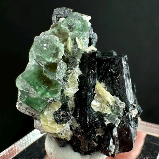 Fluorite w/ Schorl (Erongo, Namibia) | Lollipop Pocket, fluorite cluster, green fluorite, mineral specimen