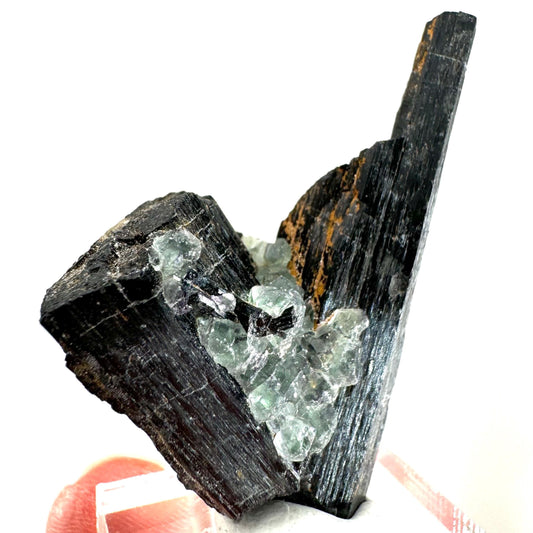 Fluorite w/ Schorl (Erongo, Namibia) | Lollipop Pocket, fluorite cluster, green fluorite, mineral specimen