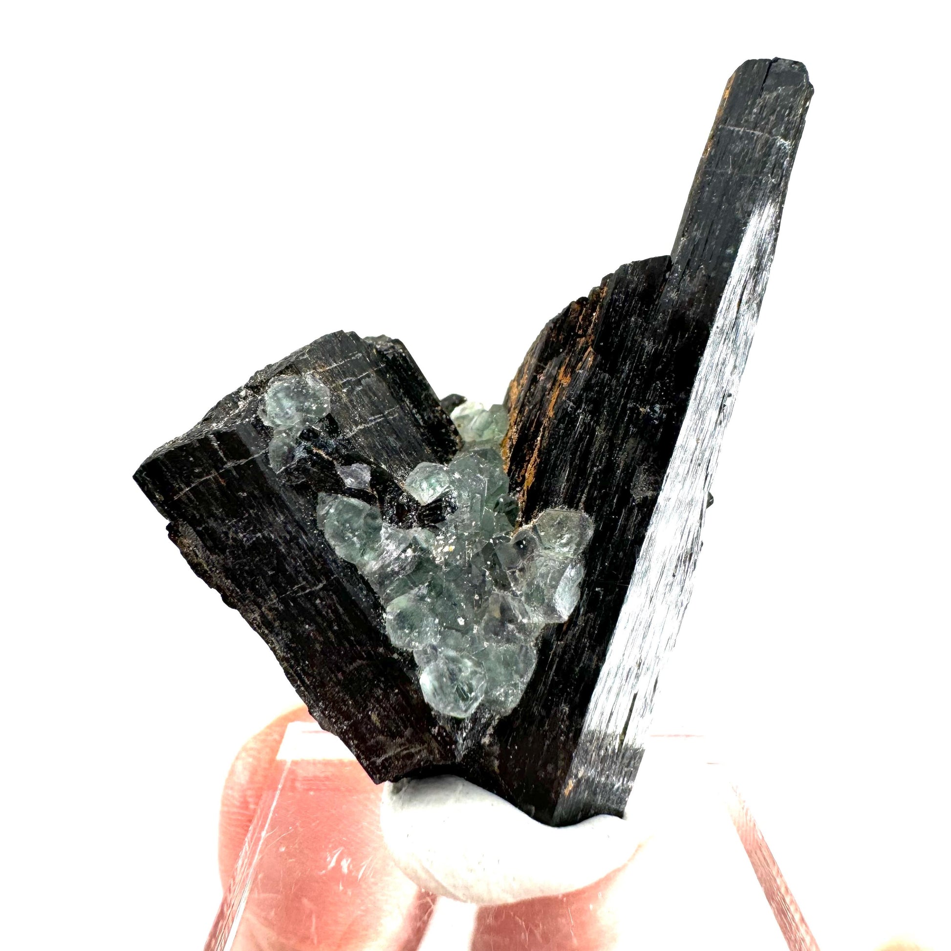Fluorite w/ Schorl (Erongo, Namibia) | Lollipop Pocket, fluorite cluster, green fluorite, mineral specimen