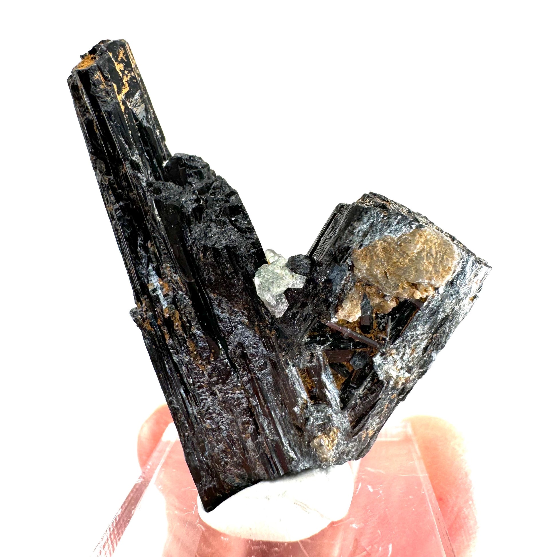 Fluorite w/ Schorl (Erongo, Namibia) | Lollipop Pocket, fluorite cluster, green fluorite, mineral specimen