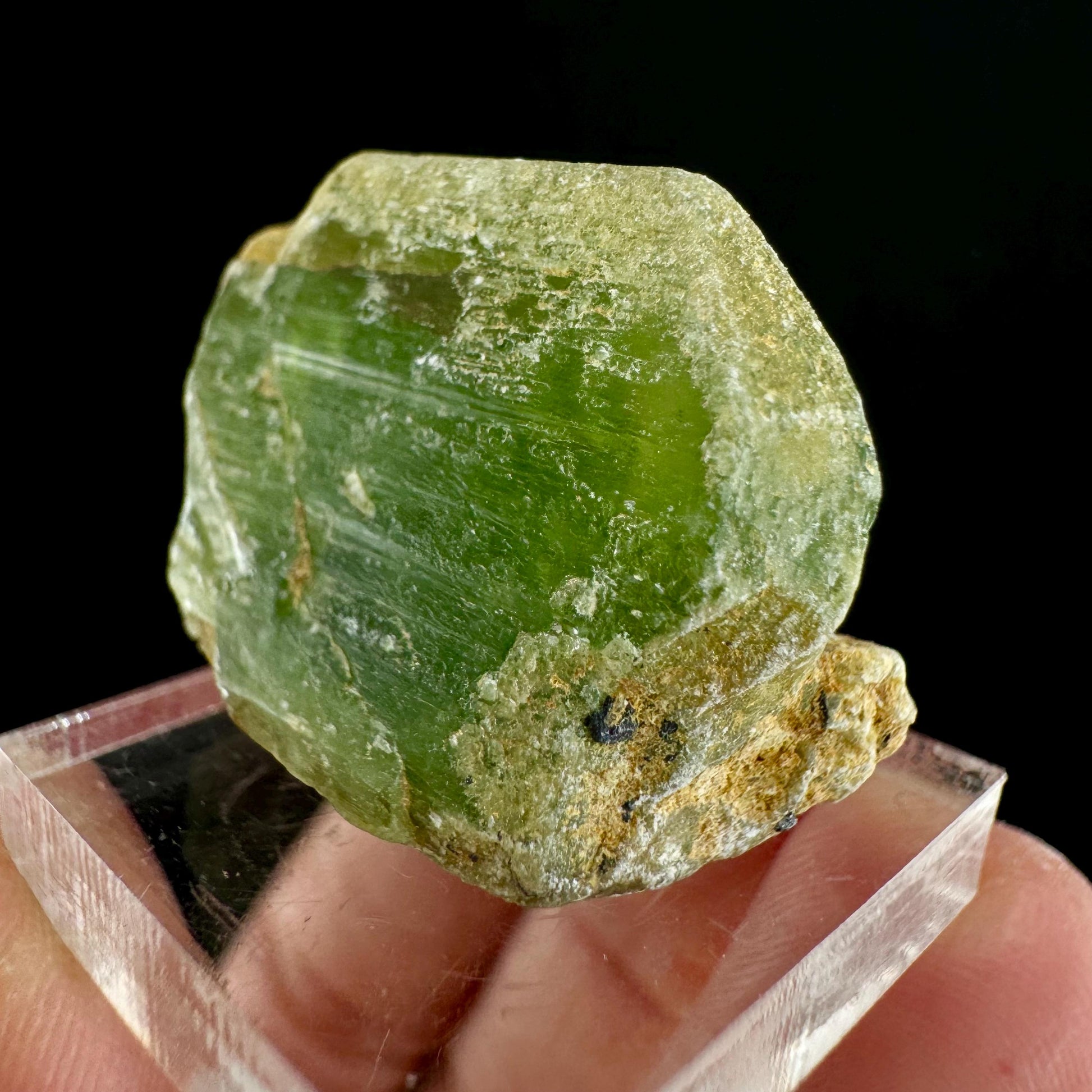Naturally terminated peridot crystal (Pakistan) | raw peridot, natural peridot, peridot crystal, peridot point