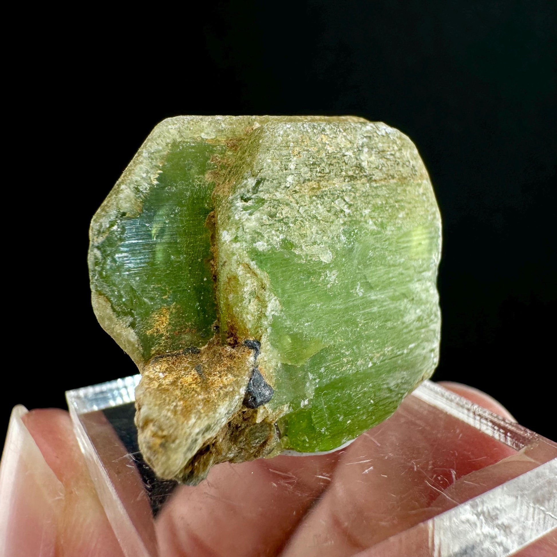Naturally terminated peridot crystal (Pakistan) | raw peridot, natural peridot, peridot crystal, peridot point