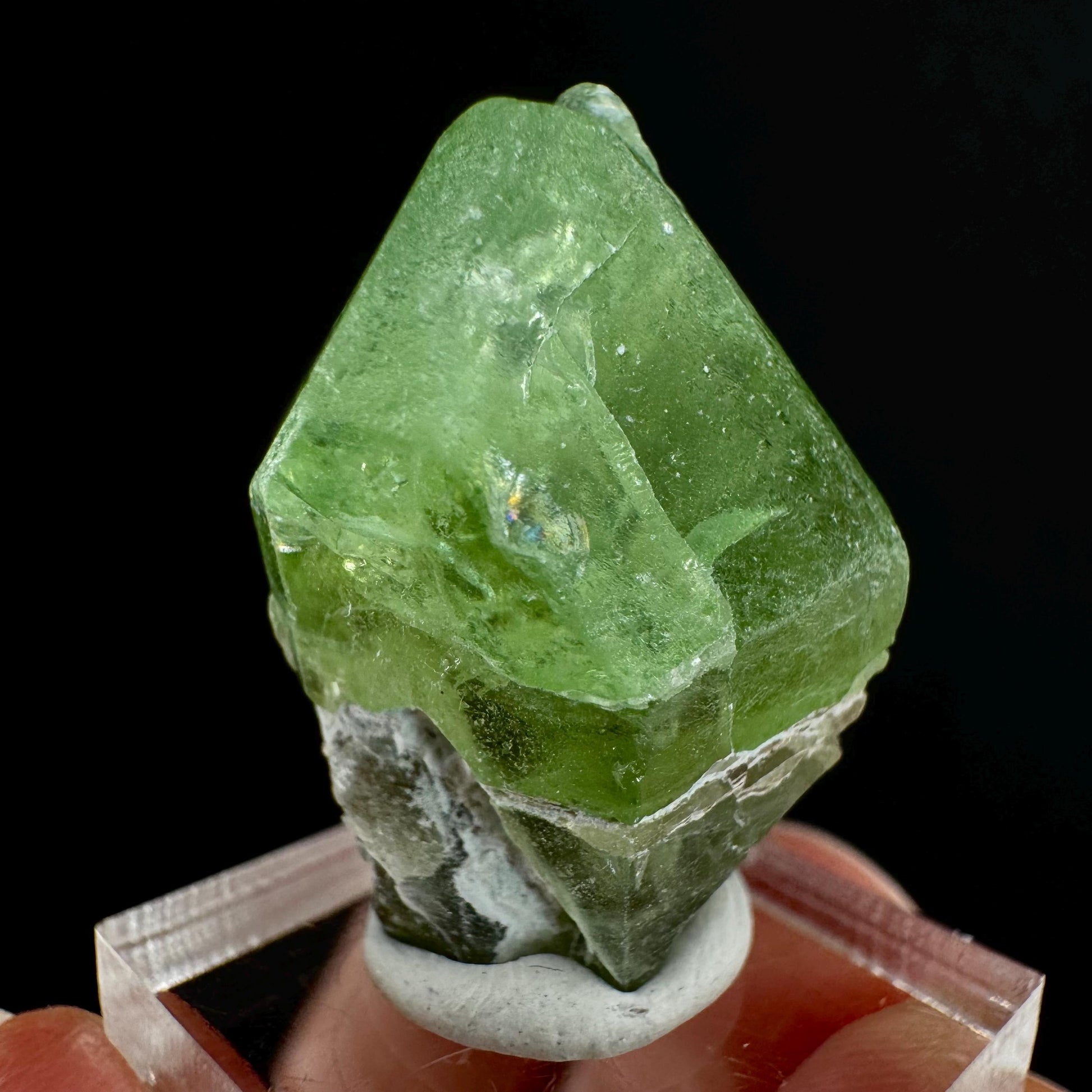 Naturally terminated peridot crystal (Pakistan) | raw peridot, natural peridot, peridot crystal, peridot point