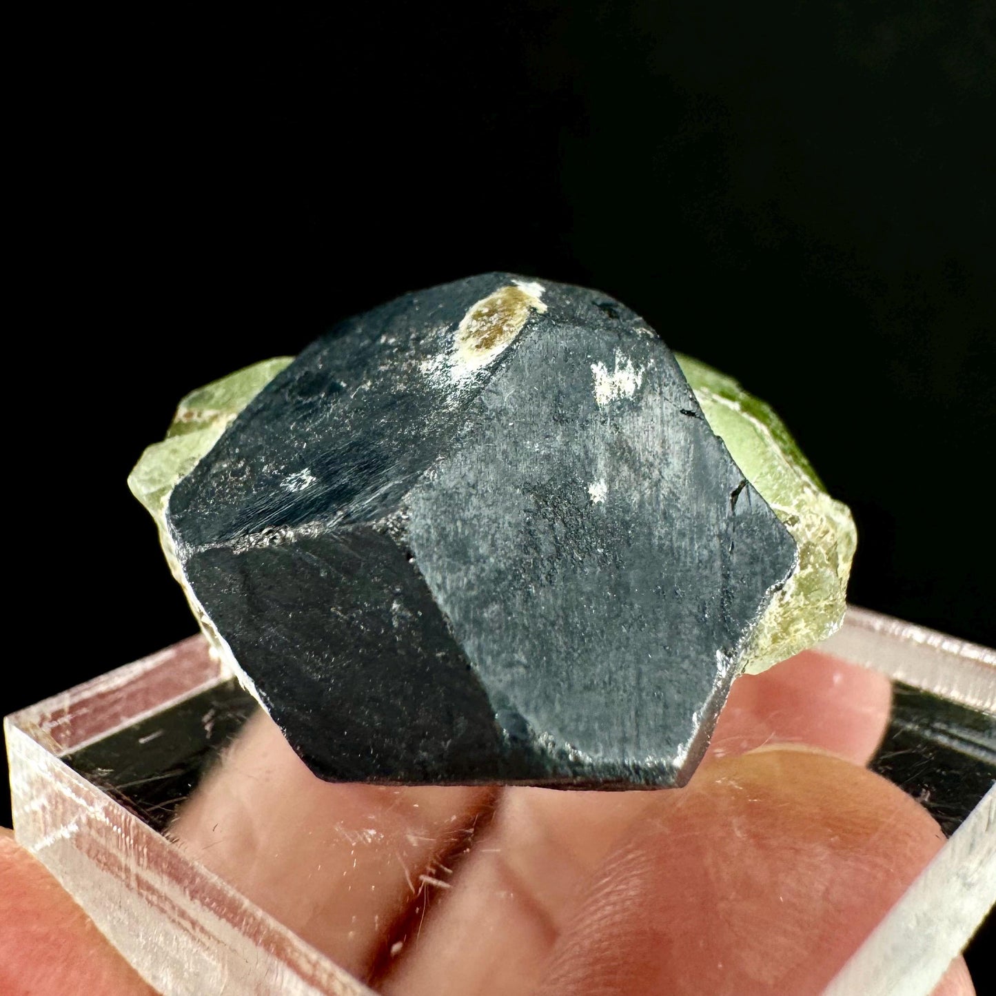 Naturally terminated peridot w/ Magnetite (Pakistan) | raw peridot, natural peridot, peridot crystal, peridot point