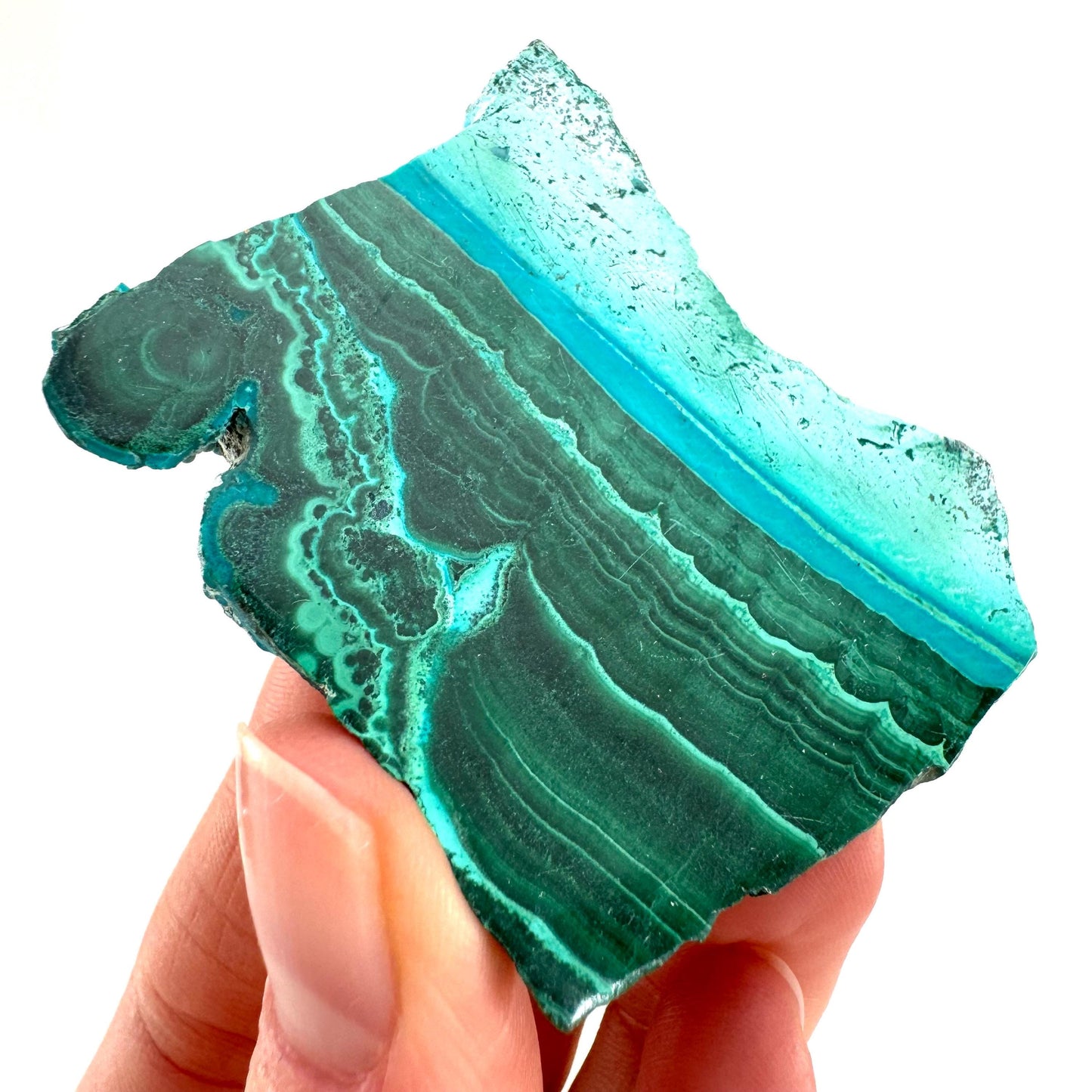 Malachite & Chrysocolla Slice (Congo), natural malachite, malachite slice, malachite slab, malacolla slice, polished malachite