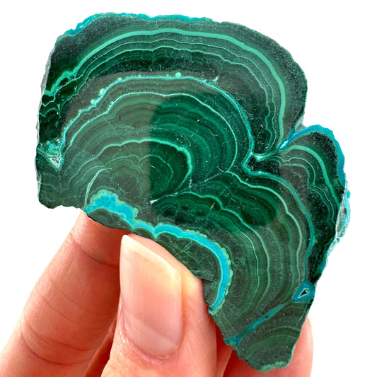 Malachite & Chrysocolla Slice (Congo), natural malachite, malachite slice, malachite slab, malacolla slice, polished malachite