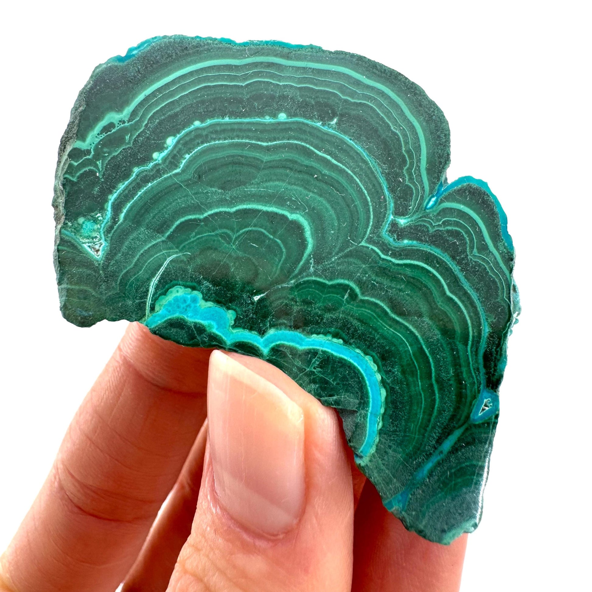 Malachite & Chrysocolla Slice (Congo), natural malachite, malachite slice, malachite slab, malacolla slice, polished malachite