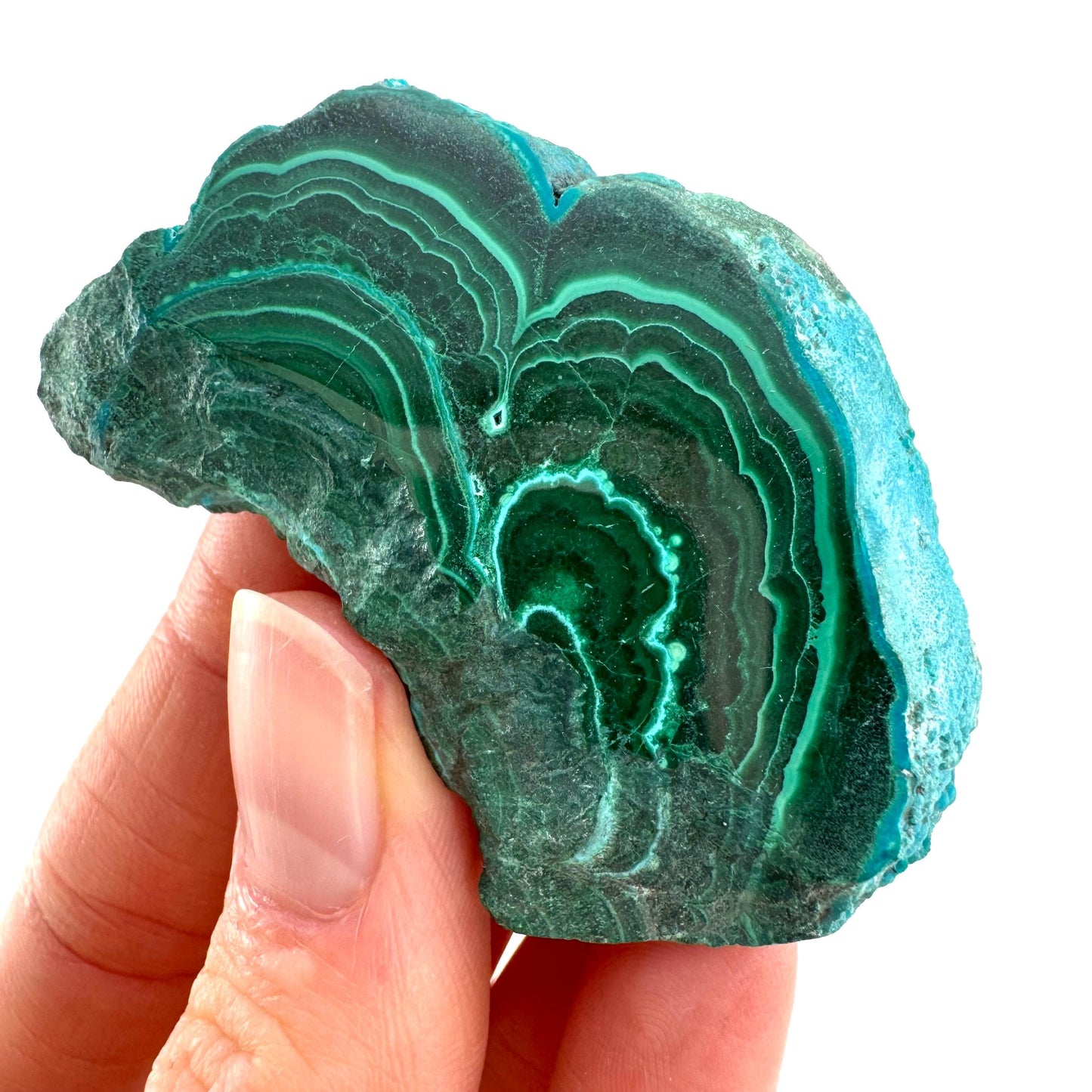Malachite & Chrysocolla Slice (Congo), natural malachite, malachite slice, malachite slab, malacolla slice, polished malachite
