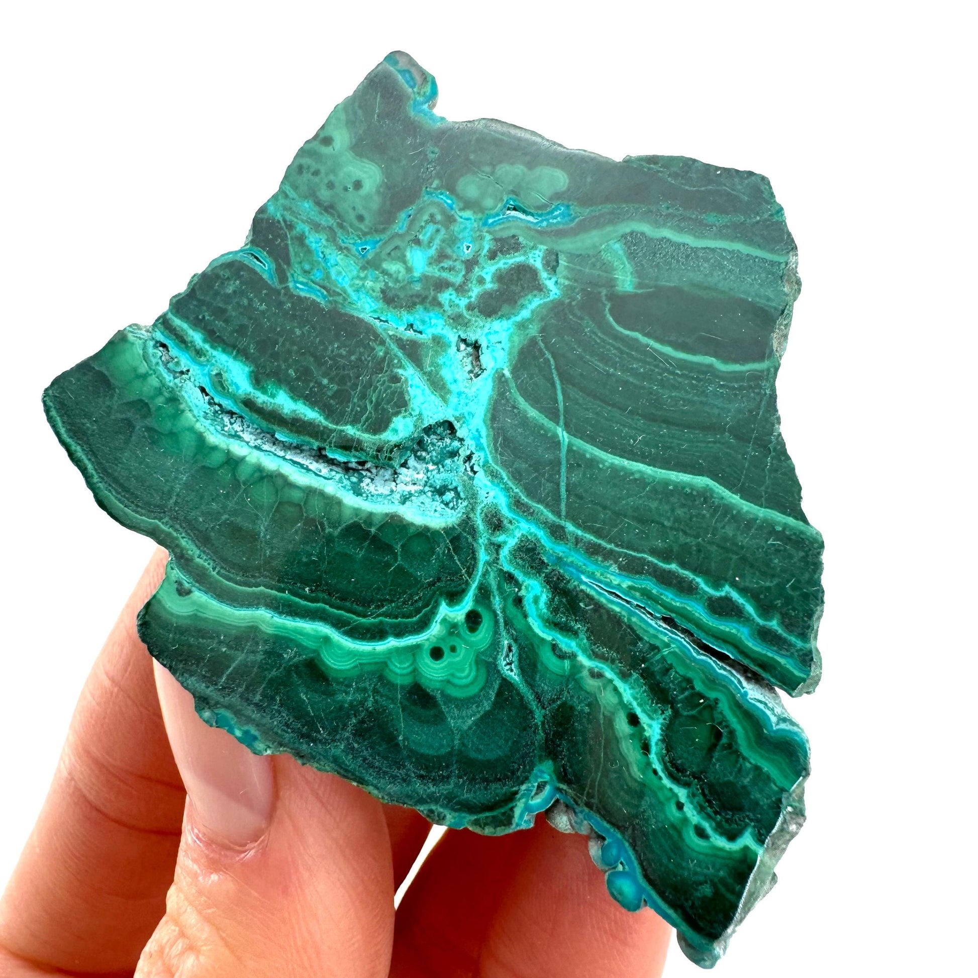 Malachite & Chrysocolla Slice (Congo), natural malachite, malachite slice, malachite slab, malacolla slice, polished malachite