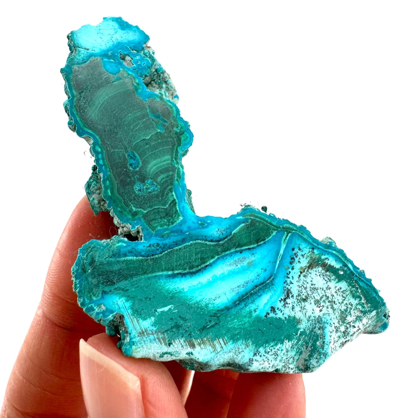 Malachite & Chrysocolla Slice (Congo), natural malachite, malachite slice, malachite slab, malacolla slice, polished malachite