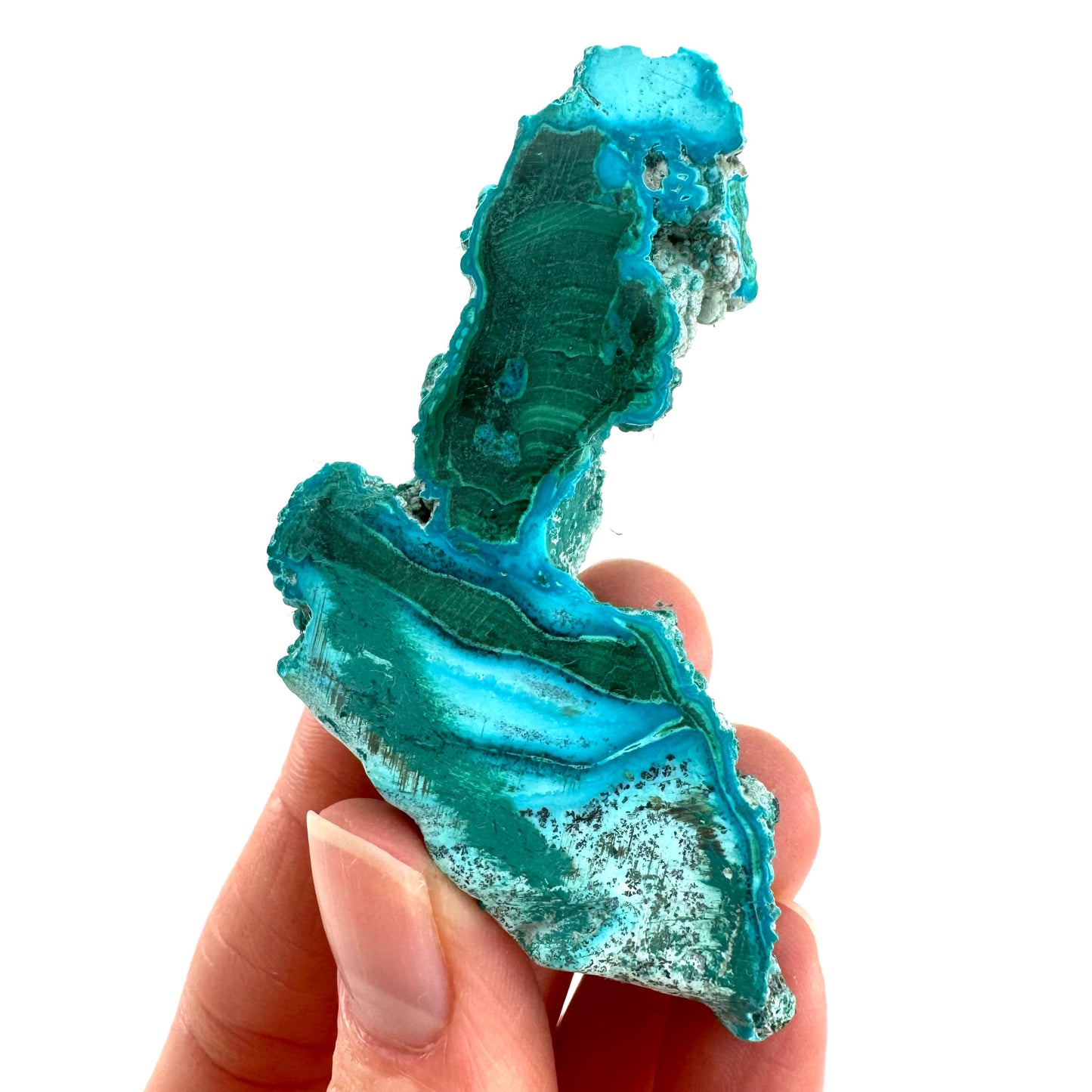 Malachite & Chrysocolla Slice (Congo), natural malachite, malachite slice, malachite slab, malacolla slice, polished malachite
