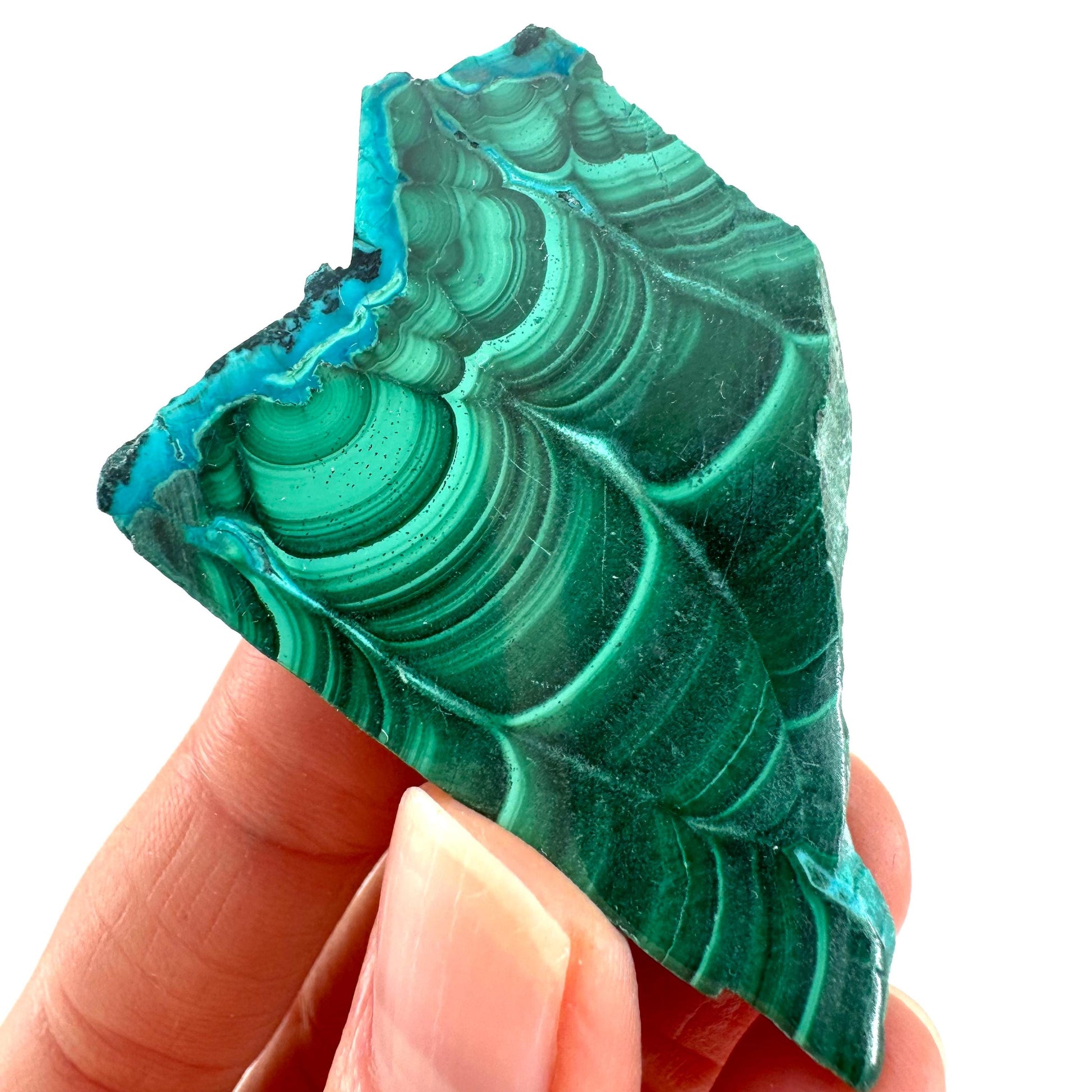 Malachite & Chrysocolla Slice (Congo), natural malachite, malachite slice, malachite slab, malacolla slice, polished malachite