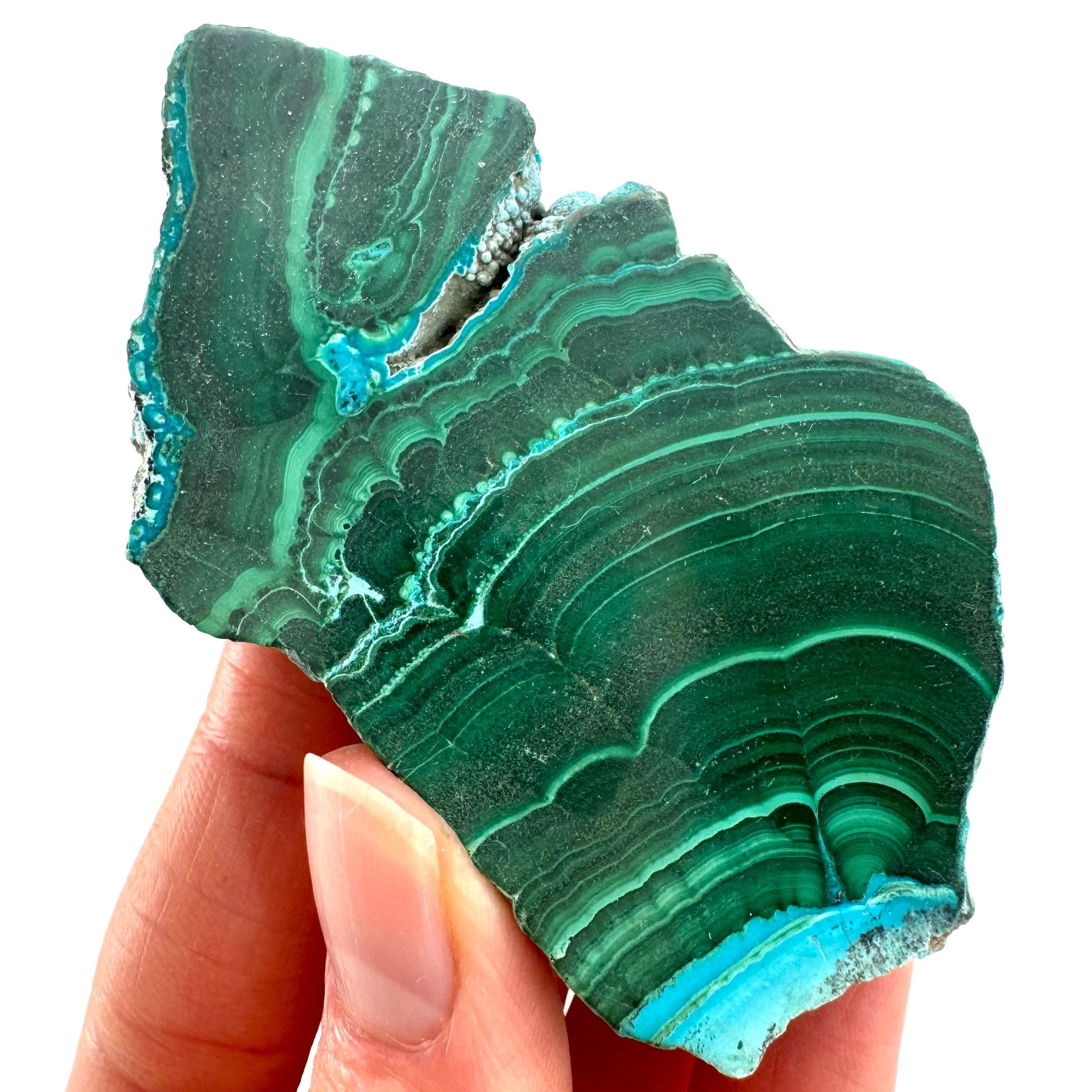 Malachite & Chrysocolla Slice (Congo), natural malachite, malachite slice, malachite slab, malacolla slice, polished malachite