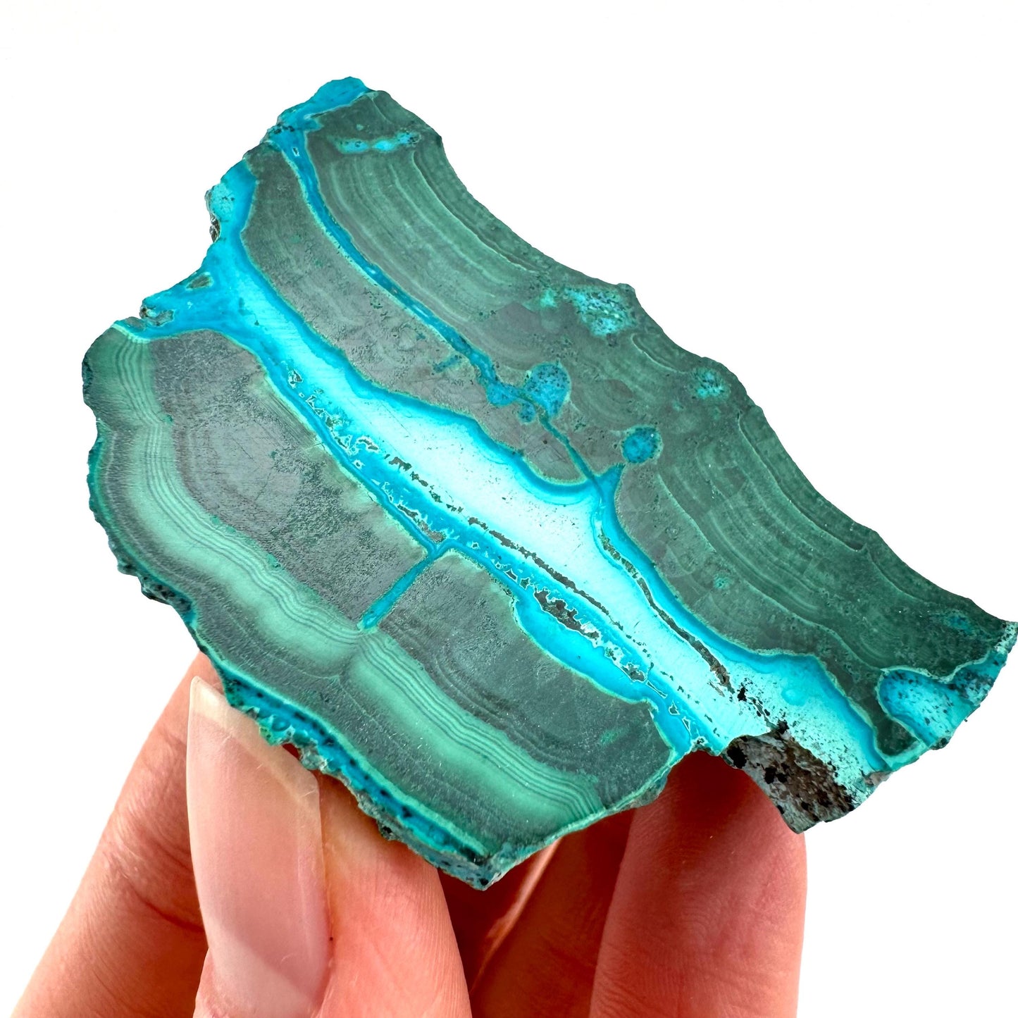 Malachite & Chrysocolla Slice (Congo), natural malachite, malachite slice, malachite slab, malacolla slice, polished malachite