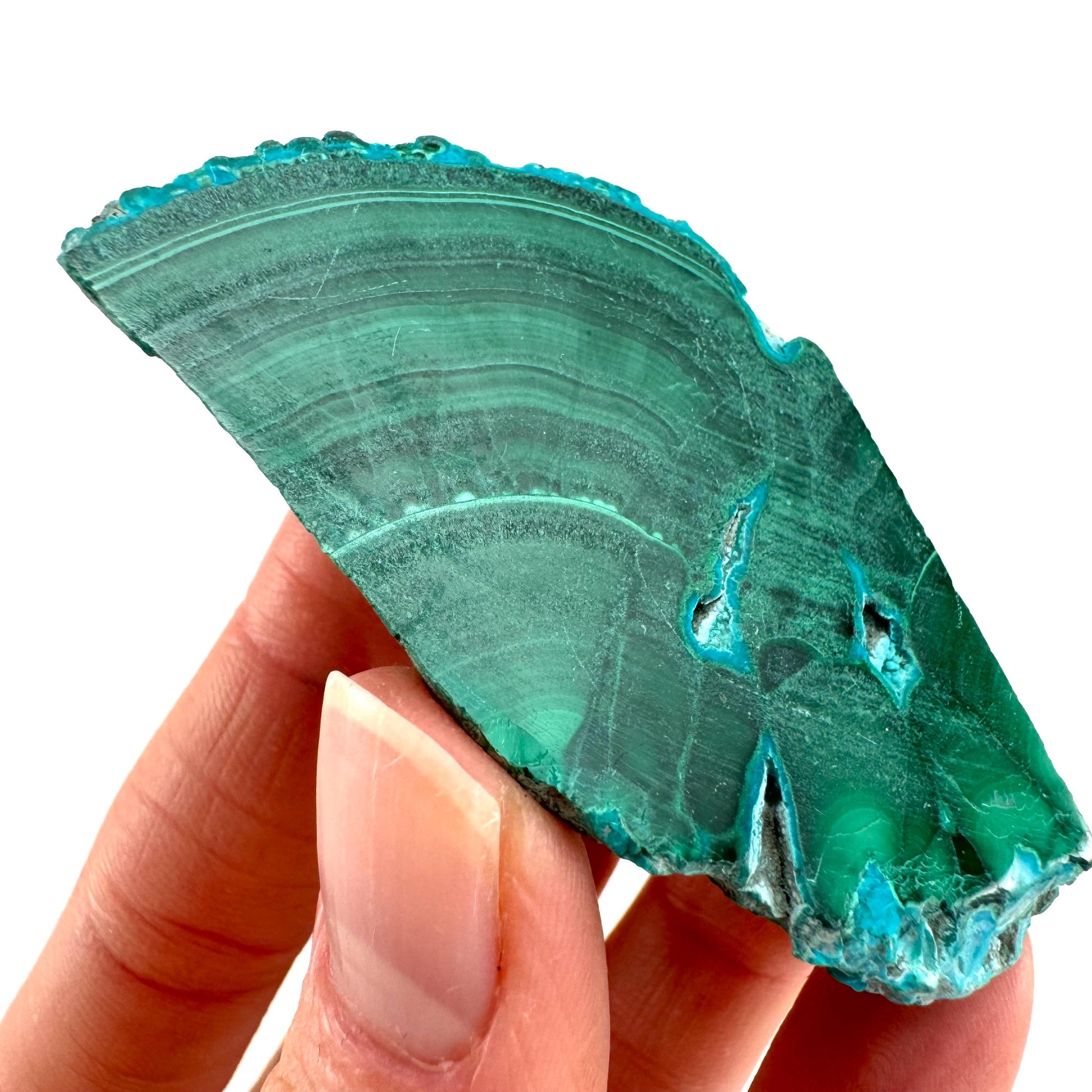 Malachite & Chrysocolla Slice (Congo), natural malachite, malachite slice, malachite slab, malacolla slice, polished malachite