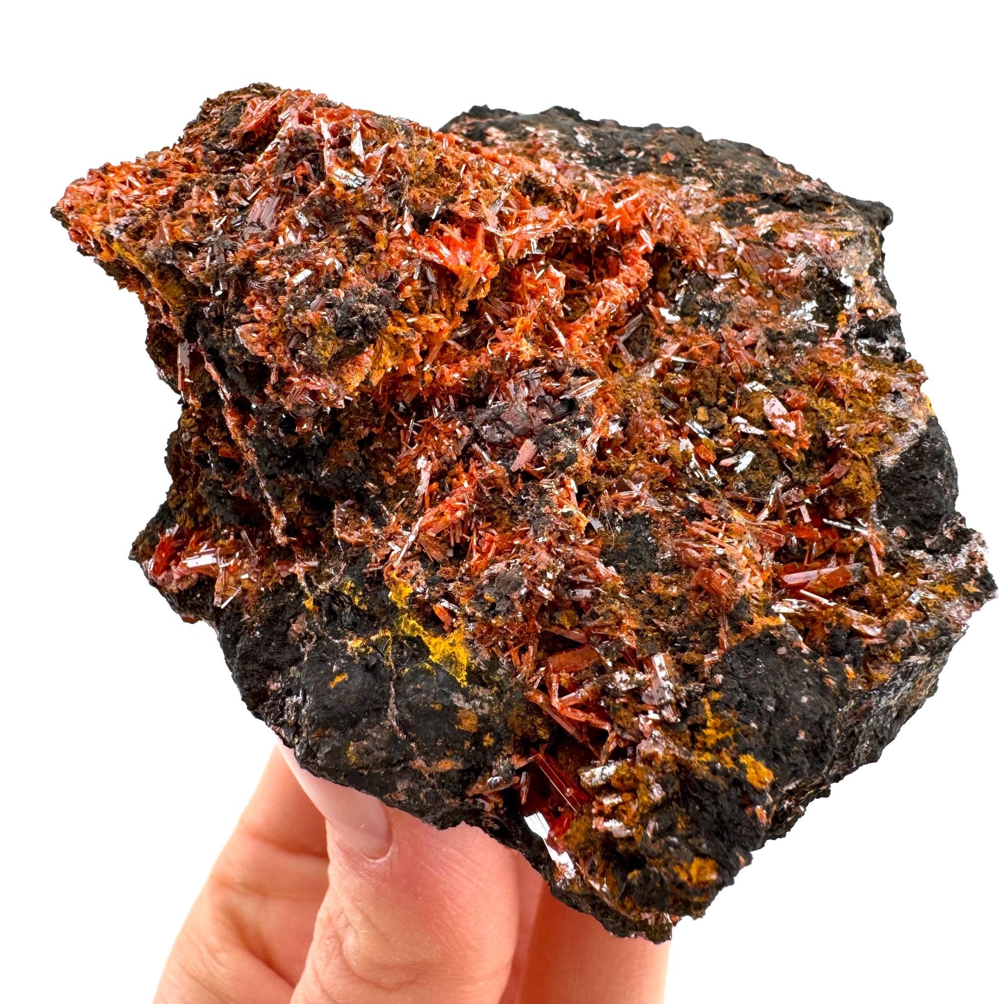 Crocoite Specimen (Australia), raw crocoite, crocoite crystal, orange crocoite, mineral specimen, rare minerals