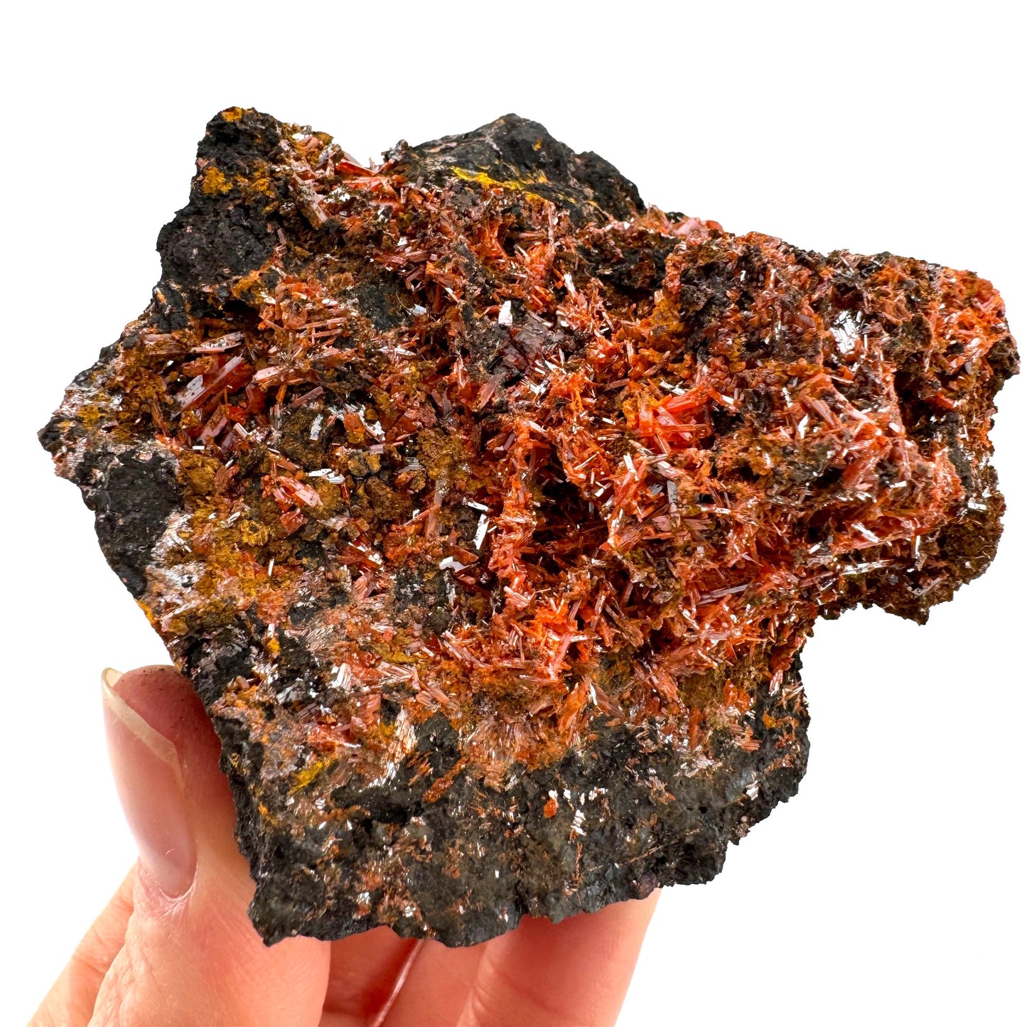 Crocoite Specimen (Australia), raw crocoite, crocoite crystal, orange crocoite, mineral specimen, rare minerals