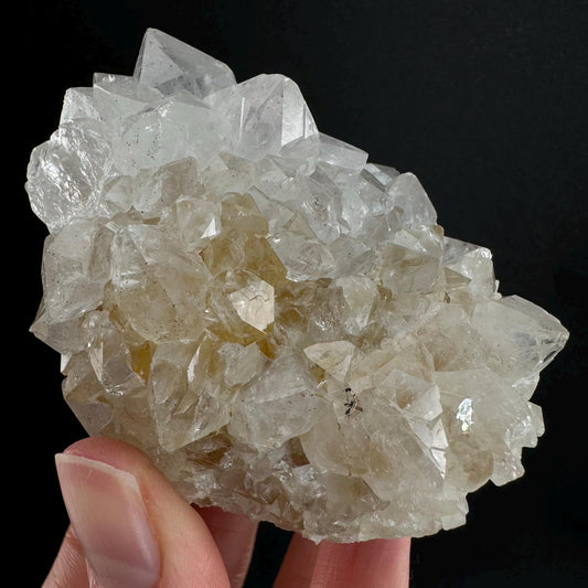 Spirit quartz crystal, spirit quartz cluster, cactus quartz