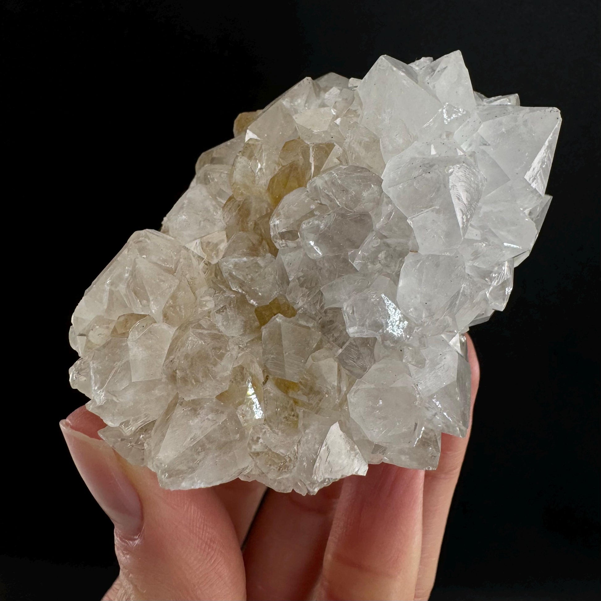 Spirit quartz crystal, spirit quartz cluster, cactus quartz