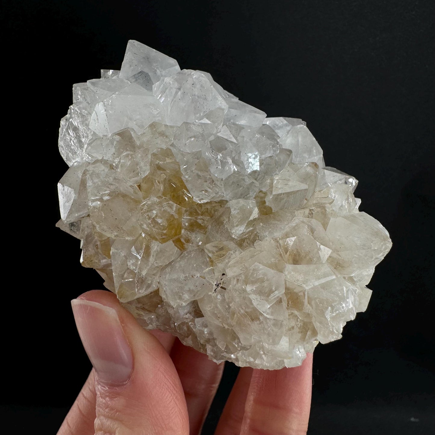 Spirit quartz crystal, spirit quartz cluster, cactus quartz