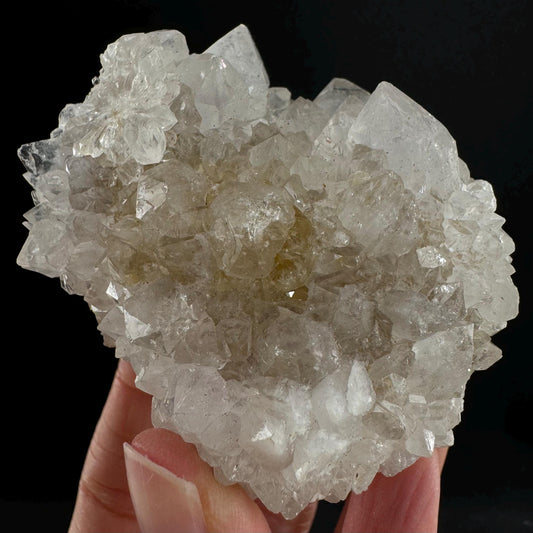 Spirit quartz crystal, spirit quartz cluster, cactus quartz