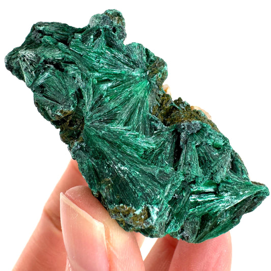Fibrous Velvet Malachite Specimen (Congo), natural malachite, velvet malachite, malachite crystal