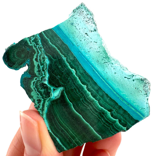 Malachite & Chrysocolla Slice (Congo), natural malachite, malachite slice, malachite slab, malacolla slice, polished malachite