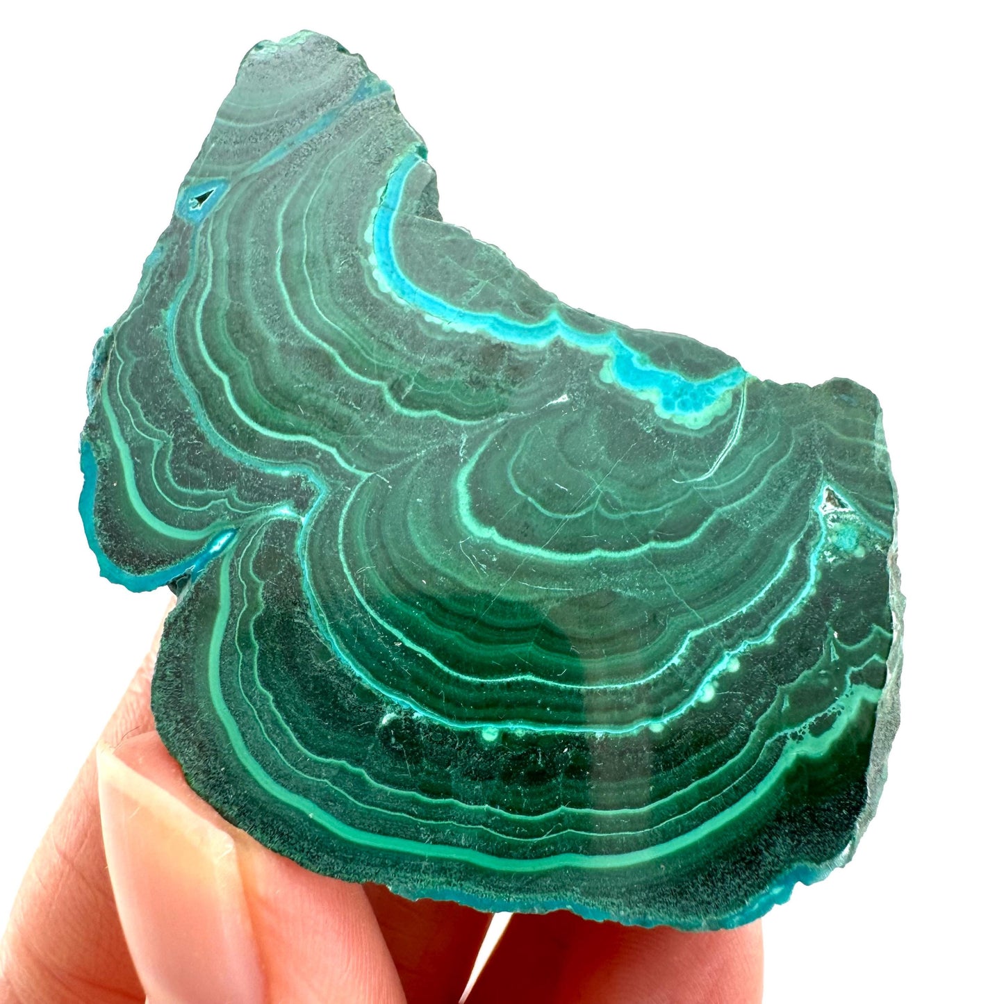 Malachite & Chrysocolla Slice (Congo), natural malachite, malachite slice, malachite slab, malacolla slice, polished malachite