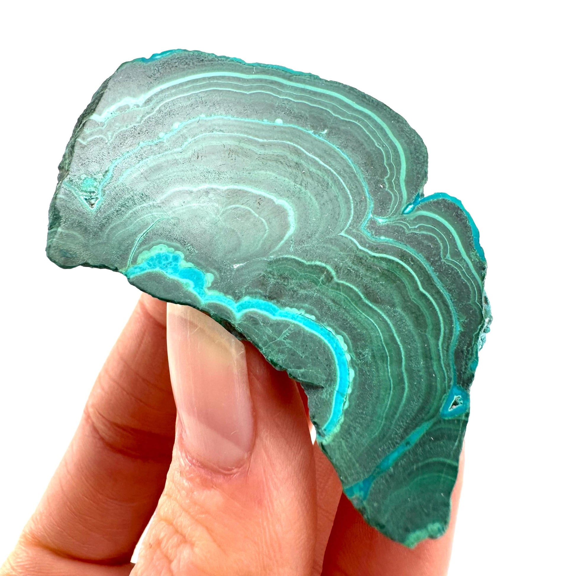 Malachite & Chrysocolla Slice (Congo), natural malachite, malachite slice, malachite slab, malacolla slice, polished malachite
